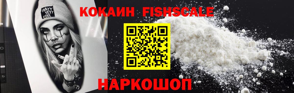 Кокаин 99%  Альметьевск  Кокаин FishScale 