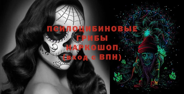 PSILOCYBIN Костерёво