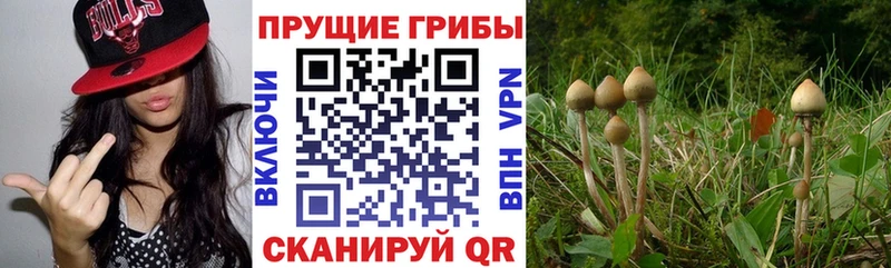 мега маркетплейс  мориарти клад  Галлюциногенные грибы ЛСД  Альметьевск 