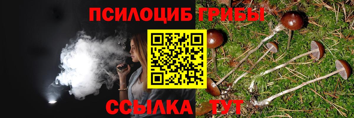Псилоцибиновые грибы прущие грибы Альметьевск