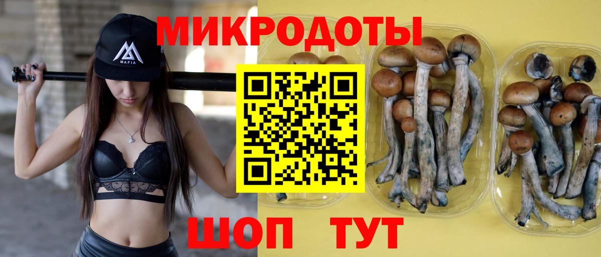 Галлюциногенные грибы прущие грибы  Альметьевск  Псилоцибиновые грибы GOLDEN TEACHER 