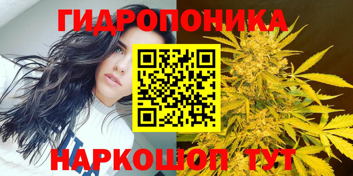 Канабис Amnesia  Бошки Шишки индика  Вход с VPN  МАРИХУАНА VHQ  Альметьевск  Канабис марихуана 